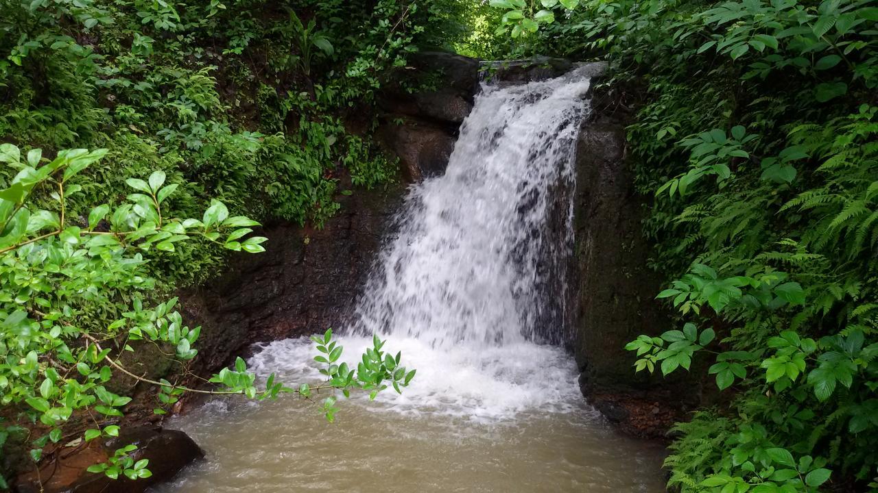 Cherilyn Monta Resort - Ratnagiri Vatul Kültér fotó